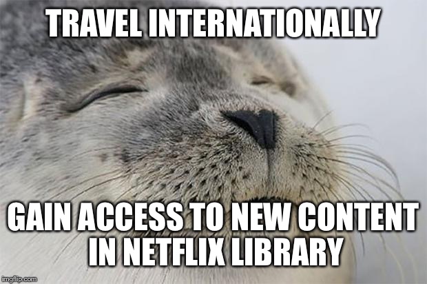 Satisfied Seal Meme | TRAVEL INTERNATIONALLY; GAIN ACCESS TO NEW CONTENT IN NETFLIX LIBRARY | image tagged in memes,satisfied seal,AdviceAnimals | made w/ Imgflip meme maker
