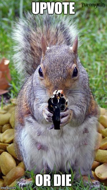 Squirrel gun |  UPVOTE; OR DIE | image tagged in memes,squirrel,squirrel gun | made w/ Imgflip meme maker