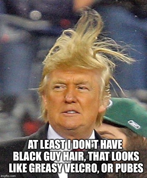 Trump is a gangsta |  AT LEAST I DON'T HAVE BLACK GUY HAIR, THAT LOOKS LIKE GREASY VELCRO, OR PUBES | image tagged in donald trumph hair,gangsta,trump 2016,obama middle finger | made w/ Imgflip meme maker
