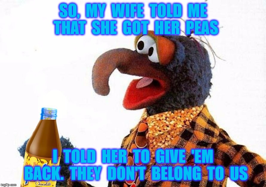 She's Been Eating Out | SO,  MY  WIFE  TOLD  ME  THAT  SHE  GOT  HER  PEAS; I  TOLD  HER  TO  GIVE  'EM  BACK.  THEY  DON'T  BELONG  TO  US | image tagged in gonzo,muppets,funny memes,marriage,sex,relationships | made w/ Imgflip meme maker