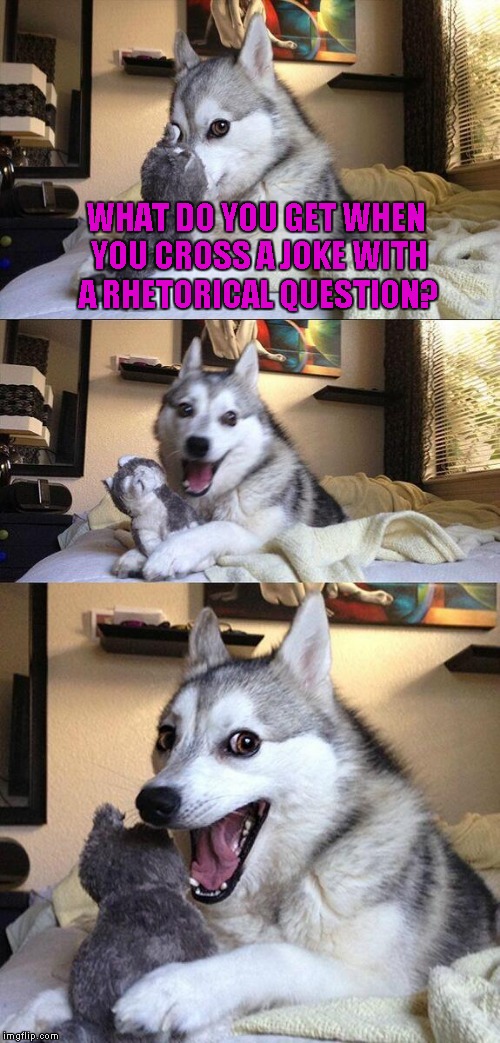 rhetorical_dog