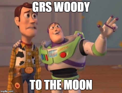X, X Everywhere Meme | GRS WOODY; TO THE MOON | image tagged in memes,x x everywhere | made w/ Imgflip meme maker