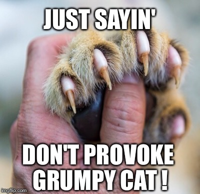 JUST SAYIN' DON'T PROVOKE GRUMPY CAT ! | made w/ Imgflip meme maker