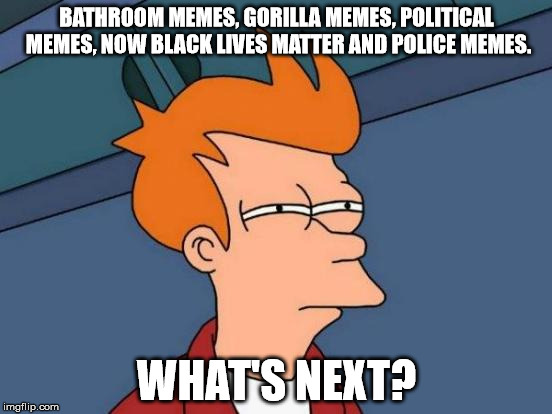 Futurama Fry | BATHROOM MEMES, GORILLA MEMES, POLITICAL MEMES, NOW BLACK LIVES MATTER AND POLICE MEMES. WHAT'S NEXT? | image tagged in memes,futurama fry | made w/ Imgflip meme maker