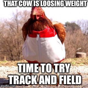 THAT COW IS LOOSING WEIGHT TIME TO TRY TRACK AND FIELD | made w/ Imgflip meme maker