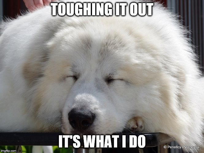 TOUGHING IT OUT IT'S WHAT I DO | made w/ Imgflip meme maker