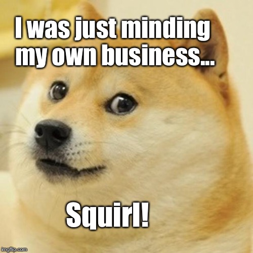Doge Meme | I was just minding my own business... Squirl! | image tagged in memes,doge | made w/ Imgflip meme maker