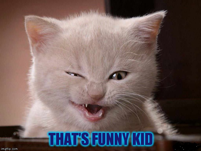 THAT'S FUNNY KID | made w/ Imgflip meme maker