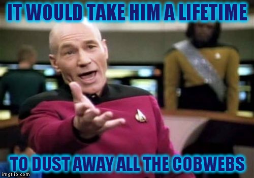 Picard Wtf Meme | IT WOULD TAKE HIM A LIFETIME TO DUST AWAY ALL THE COBWEBS | image tagged in memes,picard wtf | made w/ Imgflip meme maker