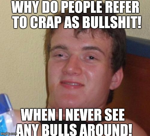 That's no bull! | WHY DO PEOPLE REFER TO CRAP AS BULLSHIT! WHEN I NEVER SEE ANY BULLS AROUND! | image tagged in memes,10 guy | made w/ Imgflip meme maker