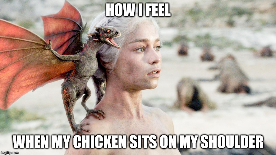 Chicken dragon | HOW I FEEL; WHEN MY CHICKEN SITS ON MY SHOULDER | image tagged in chicken,game of thrones | made w/ Imgflip meme maker