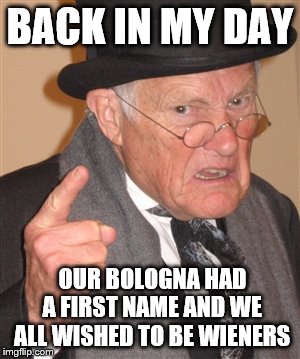 Maybe I'm showing my age here | BACK IN MY DAY; OUR BOLOGNA HAD A FIRST NAME AND WE ALL WISHED TO BE WIENERS | image tagged in angry old man | made w/ Imgflip meme maker