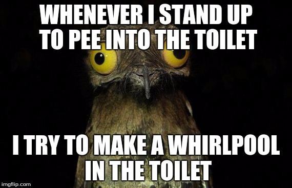 Weird Stuff I Do Potoo | WHENEVER I STAND UP TO PEE INTO THE TOILET; I TRY TO MAKE A WHIRLPOOL IN THE TOILET | image tagged in memes,weird stuff i do potoo | made w/ Imgflip meme maker