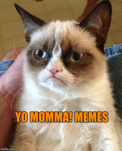 Grumpy Cat Meme | YO MOMMA! MEMES | image tagged in memes,grumpy cat | made w/ Imgflip meme maker