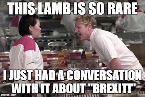 Angry Chef Gordon Ramsay Meme | THIS LAMB IS SO RARE; I JUST HAD A CONVERSATION WITH IT ABOUT "BREXIT!" | image tagged in memes,angry chef gordon ramsay | made w/ Imgflip meme maker