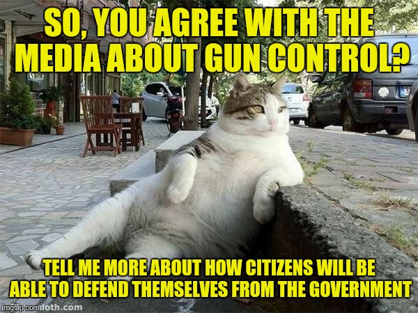 SO, YOU AGREE WITH THE MEDIA ABOUT GUN CONTROL? TELL ME MORE ABOUT HOW CITIZENS WILL BE ABLE TO DEFEND THEMSELVES FROM THE GOVERNMENT | made w/ Imgflip meme maker
