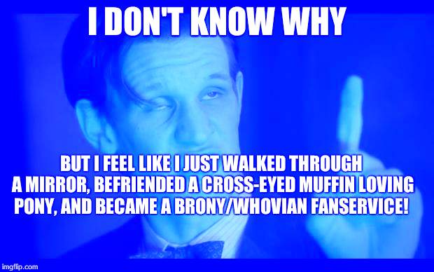 drwhogibson | I DON'T KNOW WHY; BUT I FEEL LIKE I JUST WALKED THROUGH A MIRROR, BEFRIENDED A CROSS-EYED MUFFIN LOVING PONY, AND BECAME A BRONY/WHOVIAN FANSERVICE! | image tagged in drwhogibson | made w/ Imgflip meme maker