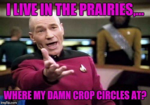 Picard Wtf Meme | I LIVE IN THE PRAIRIES,... WHERE MY DAMN CROP CIRCLES AT? | image tagged in memes,picard wtf | made w/ Imgflip meme maker