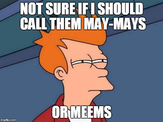 Memes | NOT SURE IF I SHOULD CALL THEM MAY-MAYS; OR MEEMS | image tagged in memes,futurama fry | made w/ Imgflip meme maker