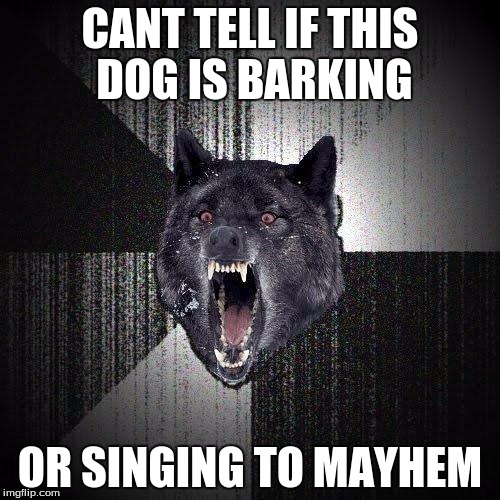 Insanity Wolf | CANT TELL IF THIS DOG IS BARKING; OR SINGING TO MAYHEM | image tagged in memes,insanity wolf | made w/ Imgflip meme maker