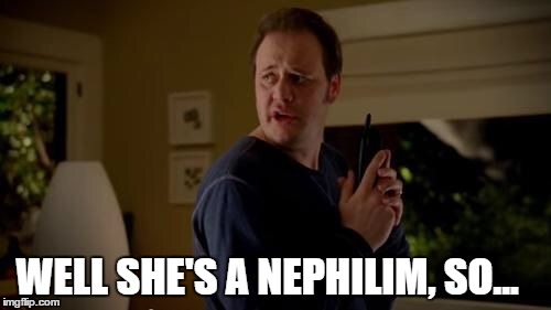 Well she's a guy, so... | WELL SHE'S A NEPHILIM, SO... | image tagged in well she's a guy so... | made w/ Imgflip meme maker