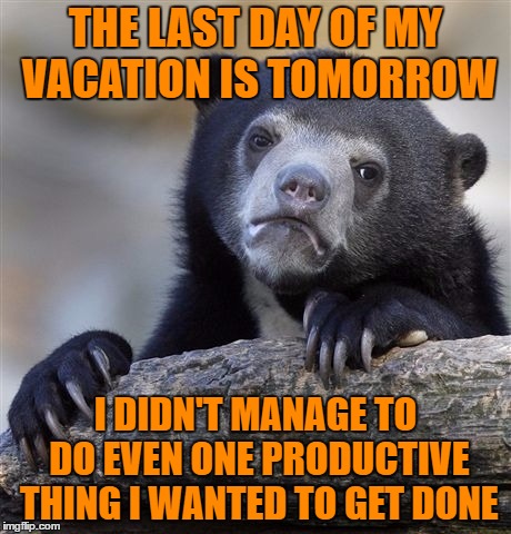 Time really does fly :-( | THE LAST DAY OF MY VACATION IS TOMORROW; I DIDN'T MANAGE TO DO EVEN ONE PRODUCTIVE THING I WANTED TO GET DONE | image tagged in memes,confession bear | made w/ Imgflip meme maker