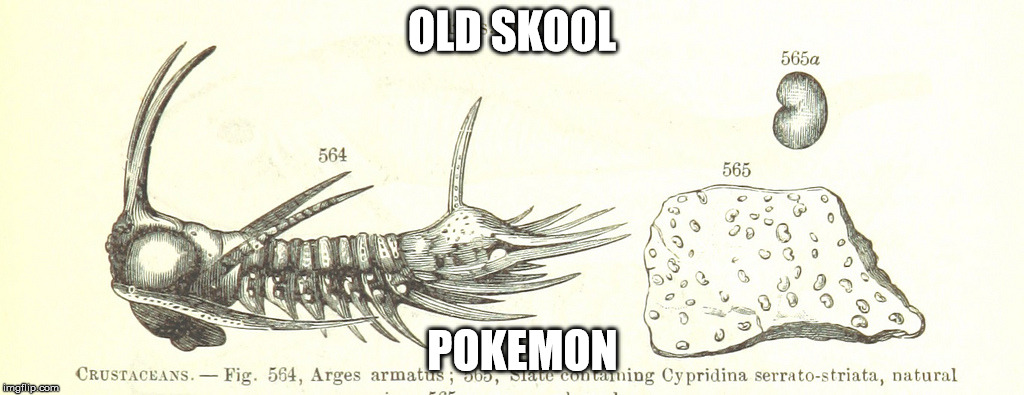 OLD SKOOL; POKEMON | image tagged in pokemon | made w/ Imgflip meme maker