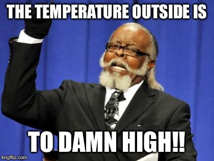 Too Damn High Meme | THE TEMPERATURE OUTSIDE IS; TO DAMN HIGH!! | image tagged in memes,too damn high | made w/ Imgflip meme maker
