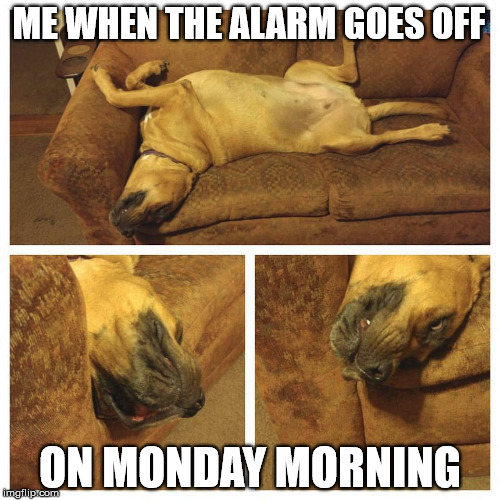 ME WHEN THE ALARM GOES OFF; ON MONDAY MORNING | image tagged in monday mornings,monday,mondays,happy monday | made w/ Imgflip meme maker