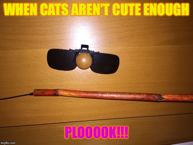 WHEN CATS AREN'T CUTE ENOUGH; PLOOOOK!!! | image tagged in when something isn't something enough | made w/ Imgflip meme maker