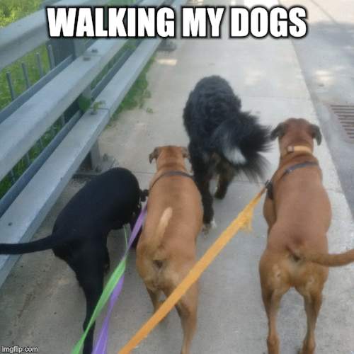 WALKING MY DOGS | made w/ Imgflip meme maker
