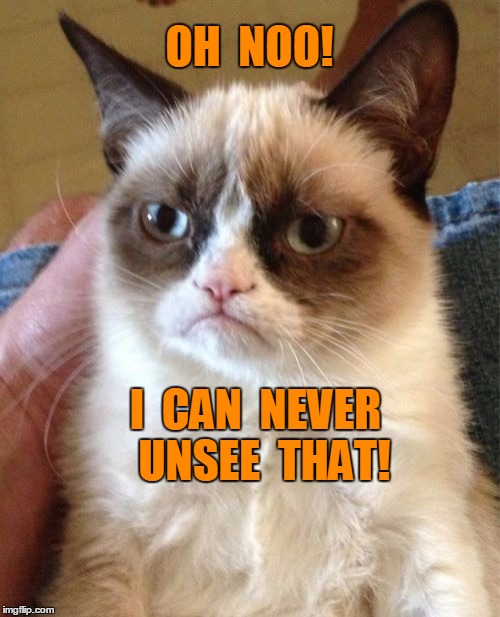 Grumpy Cat Meme | OH  NOO! I  CAN  NEVER  UNSEE  THAT! | image tagged in memes,grumpy cat | made w/ Imgflip meme maker