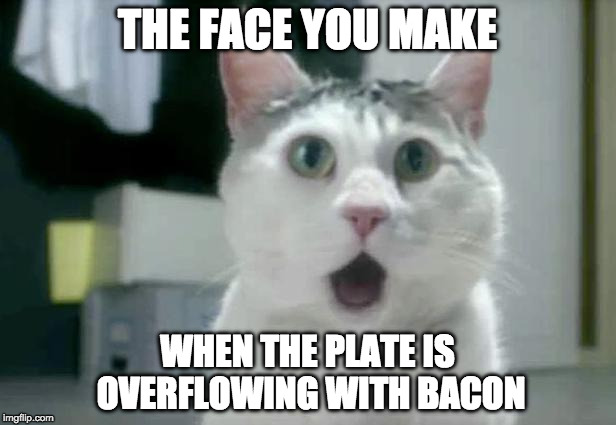 OMG Cat BACON!!!! | THE FACE YOU MAKE; WHEN THE PLATE IS OVERFLOWING WITH BACON | image tagged in memes,omg cat,face you make | made w/ Imgflip meme maker