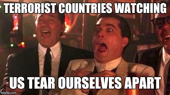 Ray Liotta Laughing In Goodfellas 2/2 | TERRORIST COUNTRIES WATCHING; US TEAR OURSELVES APART | image tagged in ray liotta laughing in goodfellas 2/2 | made w/ Imgflip meme maker