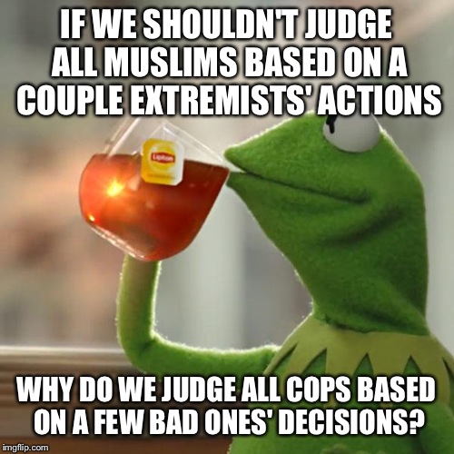 But That's None Of My Business Meme | IF WE SHOULDN'T JUDGE ALL MUSLIMS BASED ON A COUPLE EXTREMISTS' ACTIONS; WHY DO WE JUDGE ALL COPS BASED ON A FEW BAD ONES' DECISIONS? | image tagged in memes,but thats none of my business,kermit the frog | made w/ Imgflip meme maker