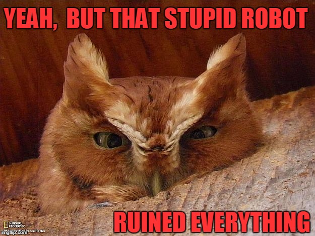 YEAH,  BUT THAT STUPID ROBOT RUINED EVERYTHING | image tagged in angry owl | made w/ Imgflip meme maker