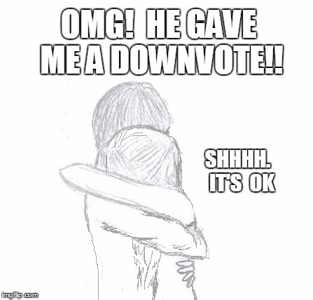 OMG!  HE GAVE ME A DOWNVOTE!! SHHHH.  IT'S  OK | image tagged in hold | made w/ Imgflip meme maker