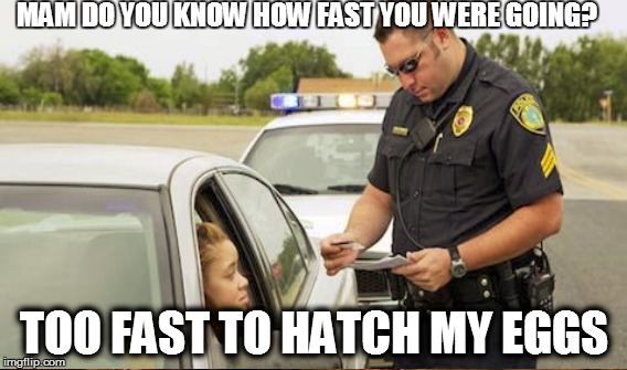 When you thought you'd evolve that 10.0km egg going 75 down the freeway | MAM DO YOU KNOW HOW FAST YOU WERE GOING? TOO FAST TO HATCH MY EGGS | image tagged in pokemon go,pulled over,cops,dont drive and go | made w/ Imgflip meme maker