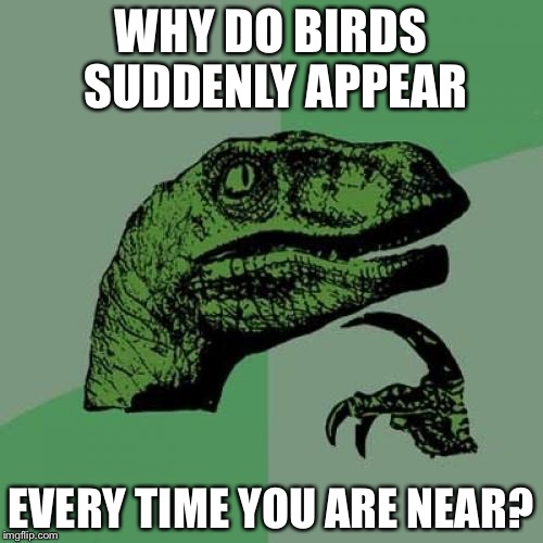 Philosoraptor Meme | WHY DO BIRDS SUDDENLY APPEAR; EVERY TIME YOU ARE NEAR? | image tagged in memes,philosoraptor | made w/ Imgflip meme maker