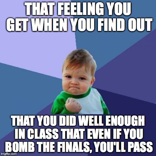 Success Kid | THAT FEELING YOU GET WHEN YOU FIND OUT; THAT YOU DID WELL ENOUGH IN CLASS THAT EVEN IF YOU BOMB THE FINALS, YOU'LL PASS | image tagged in memes,success kid | made w/ Imgflip meme maker