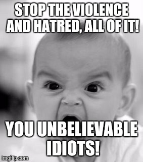 Angry Baby Meme | STOP THE VIOLENCE AND HATRED, ALL OF IT! YOU UNBELIEVABLE IDIOTS! | image tagged in memes,angry baby | made w/ Imgflip meme maker