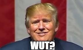 wut? | WUT? | image tagged in donald trump | made w/ Imgflip meme maker