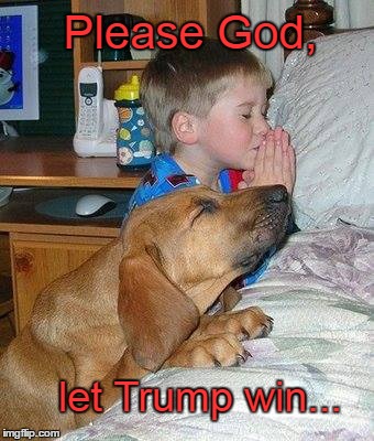 Please God let Trump win | Please God, let Trump win... | image tagged in donald trump,children,dogs | made w/ Imgflip meme maker