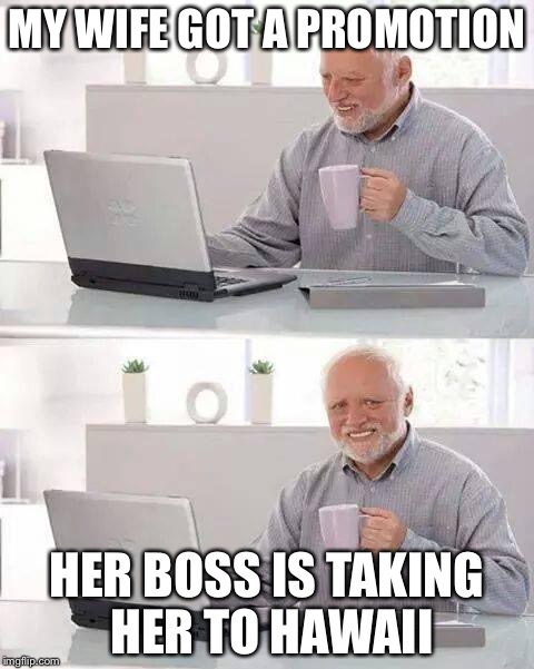 Harold's wife is a pain | MY WIFE GOT A PROMOTION; HER BOSS IS TAKING HER TO HAWAII | image tagged in memes,hide the pain harold | made w/ Imgflip meme maker