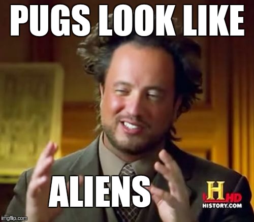 Ancient Aliens Meme | PUGS LOOK LIKE; ALIENS | image tagged in memes,ancient aliens | made w/ Imgflip meme maker