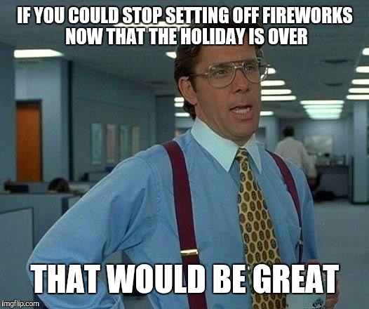 That Would Be Great | IF YOU COULD STOP SETTING OFF FIREWORKS NOW THAT THE HOLIDAY IS OVER; THAT WOULD BE GREAT | image tagged in memes,that would be great | made w/ Imgflip meme maker
