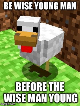 Minecraft Advice Chicken | BE WISE YOUNG MAN; BEFORE THE WISE MAN YOUNG | image tagged in minecraft advice chicken | made w/ Imgflip meme maker