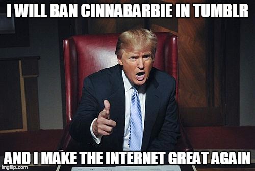 must ban her shes taking over the su fandom | I WILL BAN CINNABARBIE IN TUMBLR; AND I MAKE THE INTERNET GREAT AGAIN | image tagged in donald trump you're fired,tumblr | made w/ Imgflip meme maker