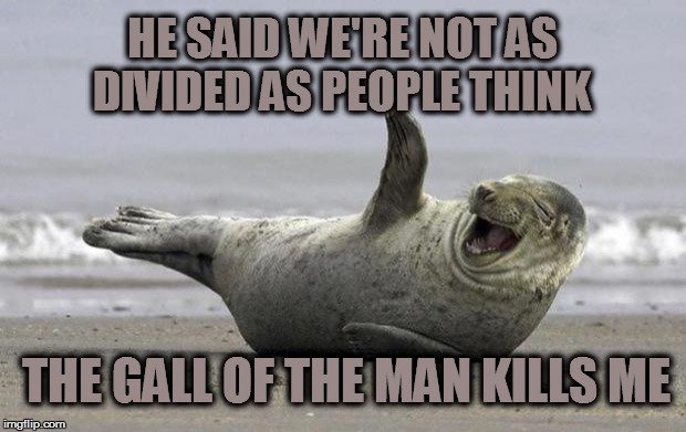 laughing seal | HE SAID WE'RE NOT AS DIVIDED AS PEOPLE THINK; THE GALL OF THE MAN KILLS ME | image tagged in laughing seal | made w/ Imgflip meme maker