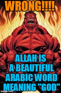 WRONG!!!! ALLAH IS A BEAUTIFUL ARABIC WORD MEANING "GOD" | image tagged in red hulk | made w/ Imgflip meme maker